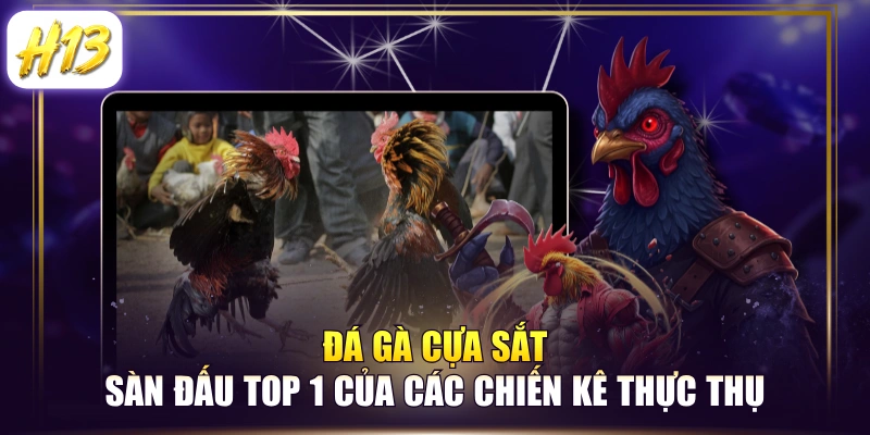 Đá Gà Cựa Sắt - Sàn Đấu Top 1 Của Các Chiến Kê Thực Thụ 