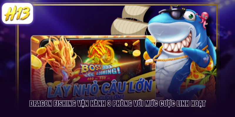 Dragon Fishing vận hành 3 phòng với mức cược linh hoạt